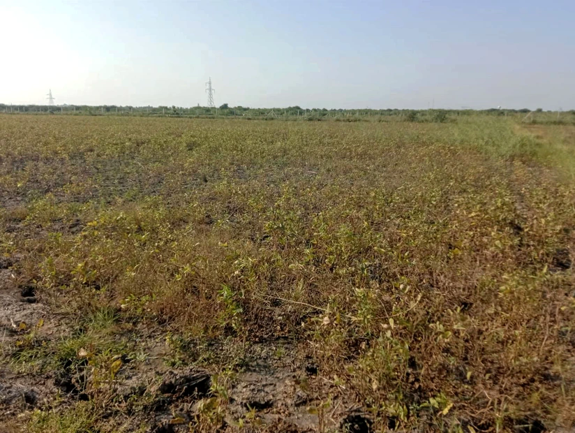 Moradabad, Uttar Pradesh, India