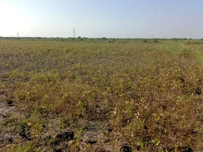 Moradabad, Uttar Pradesh, India preview 2