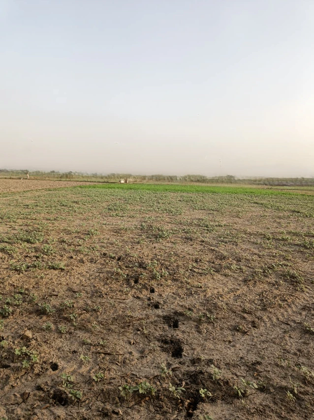 Lilas, Haryana 127046, India