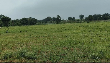 Tamia, Chhindwara, Madhya Pradesh 480559, India