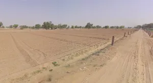 Khari, Rajasthan, India preview 3