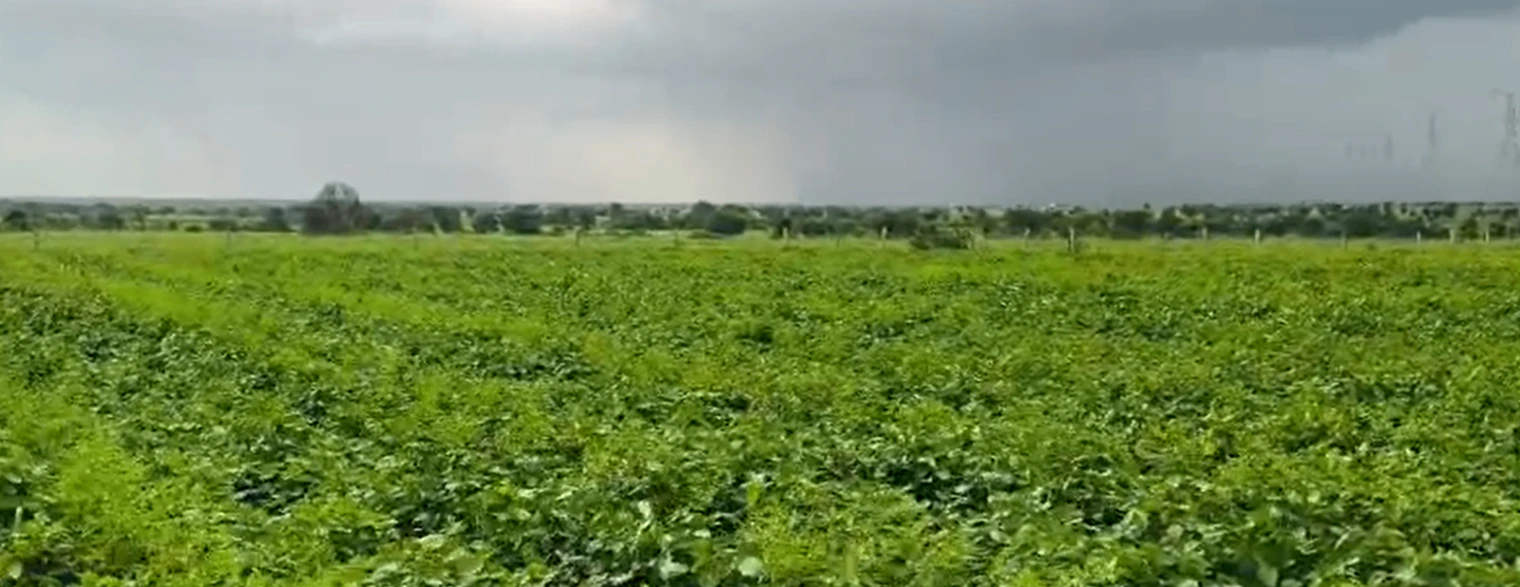 V4R3+GP Thirumalapur, Mahabubnagar, Telangana, India - Photo 3