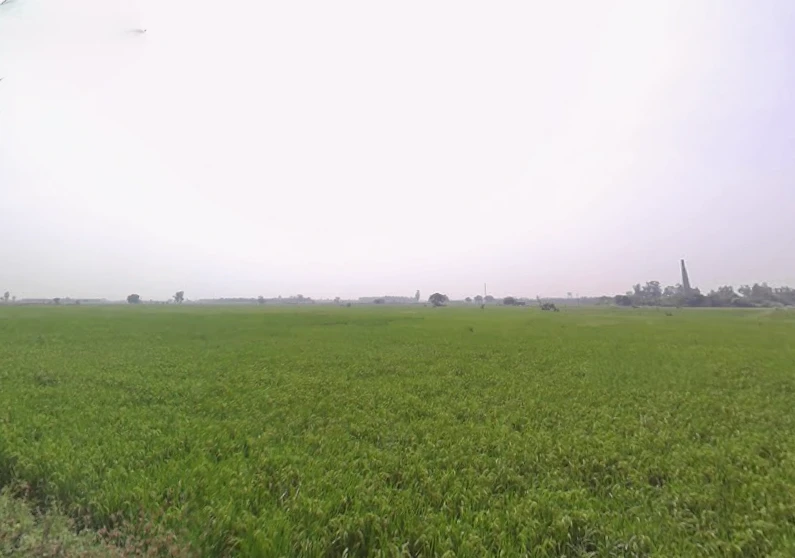 Banur, Punjab, India