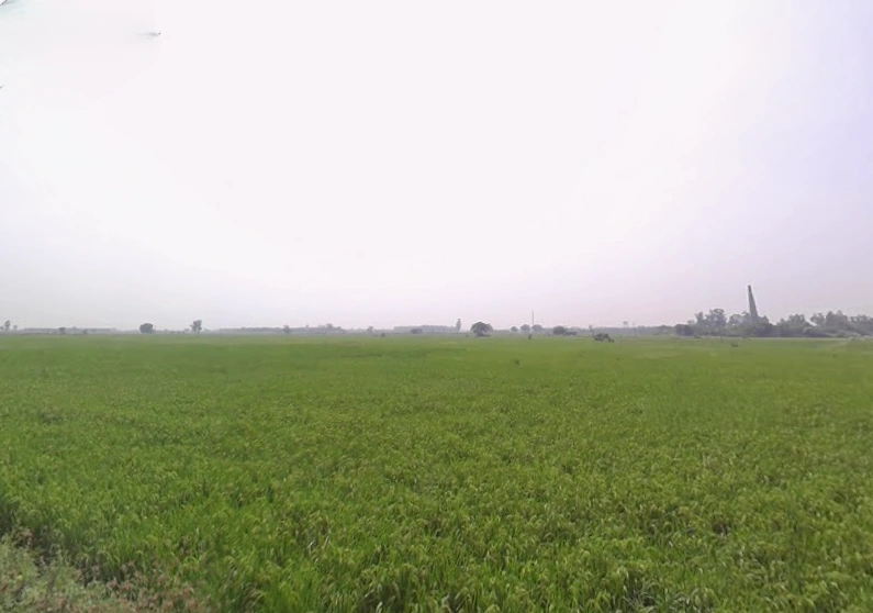 Banur, Punjab, India