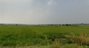 Salbedia, West Bengal 722203, India preview 2
