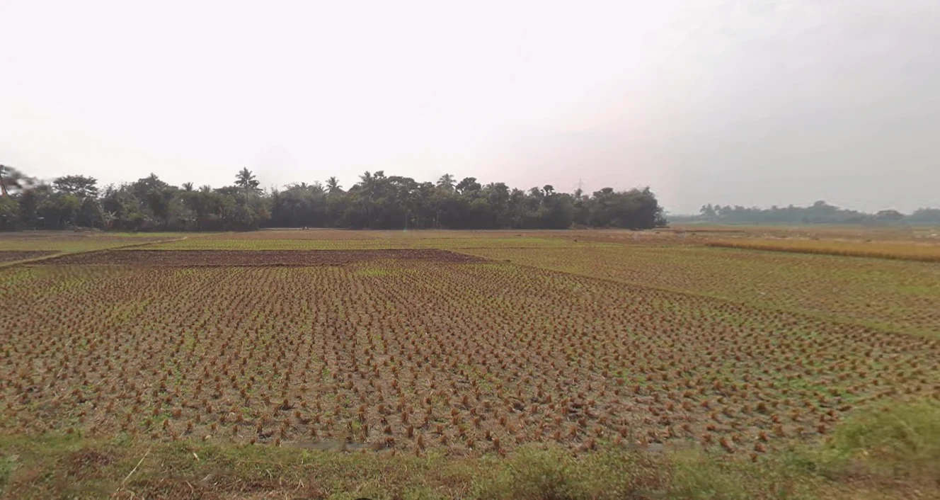 Shikarpur, West Bengal 713422, India preview 2