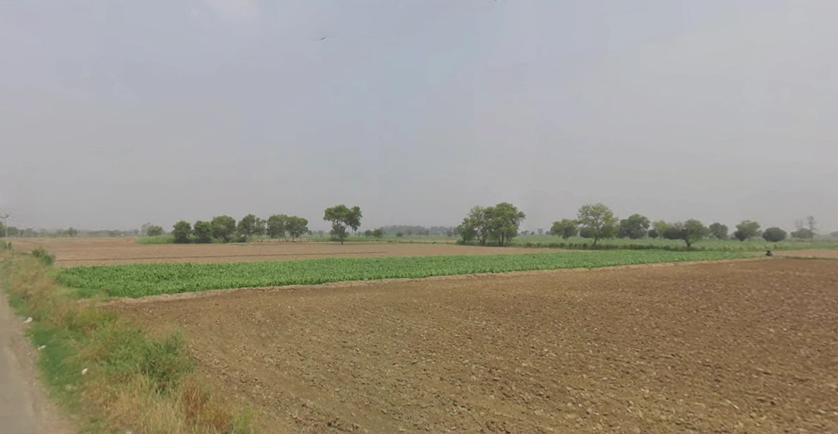 Butana, Haryana 131302, India