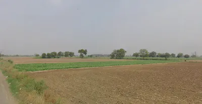 Butana, Haryana 131302, India preview 2