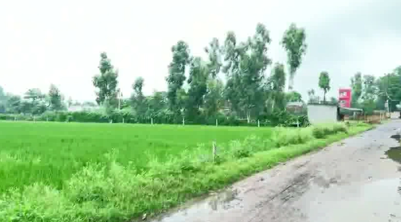 Garh Mukteshwar, Hapur, Uttar Pradesh 245205, India