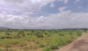 Achrol, Rajasthan 303002, India preview 2