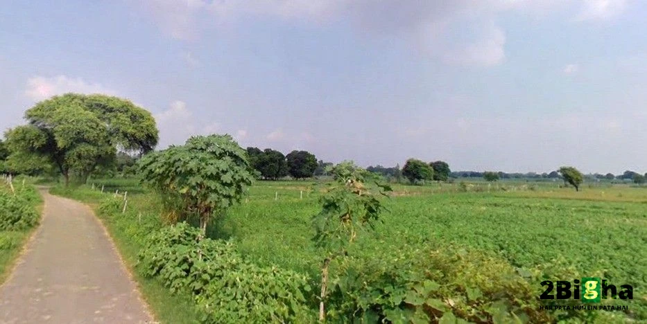 Araji no, 27, Kanpur - Allahabad Hwy, Chakeri Ward, Rooma, Kanpur, Uttar Pradesh 209402, India