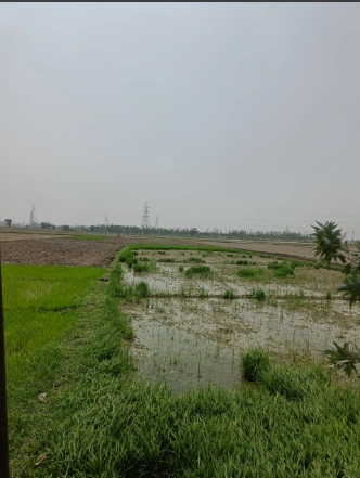 6763+2JF, Dibai, Uttar Pradesh 203393, India preview 3