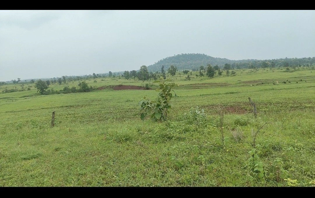 Pipariya, Narmadapuram, Madhya Pradesh 461775, India preview 2