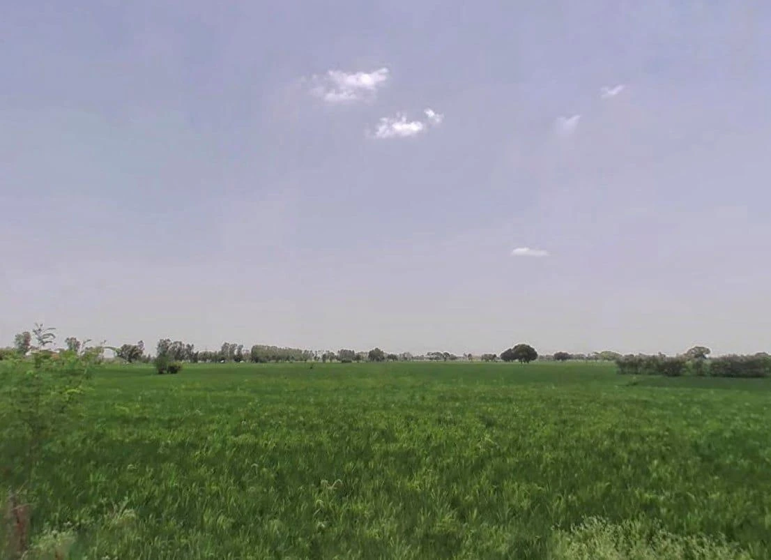 RCX5+2RQ, Kosi Kalan, Uttar Pradesh 281403, India