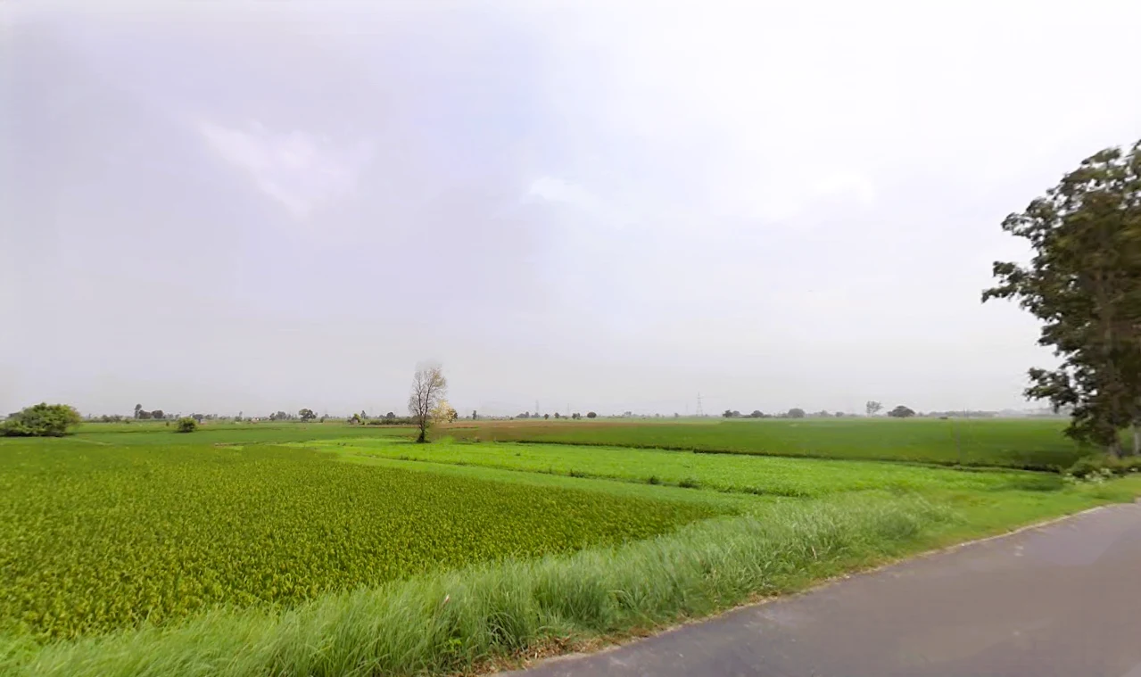 Kalheri, Haryana 132114, India