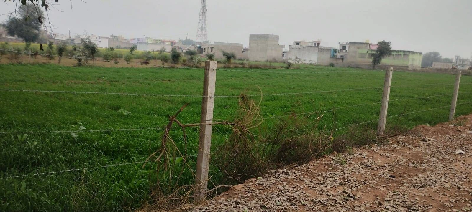 Sector 36, Old Delhi, Rohini, Delhi, India
