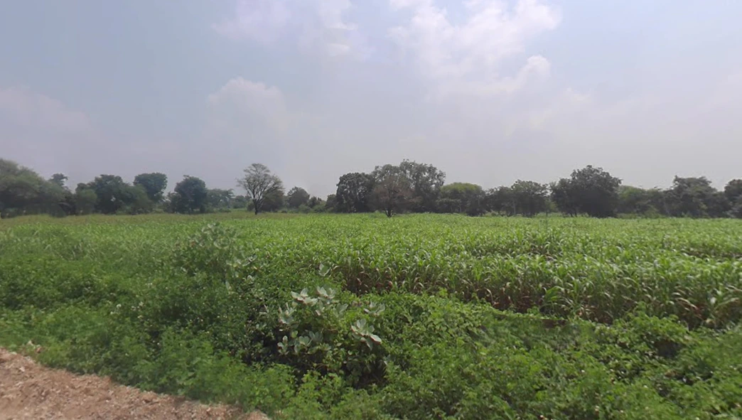 VPGQ+588, Karoli Ki Dhani, Rajasthan 313301, India