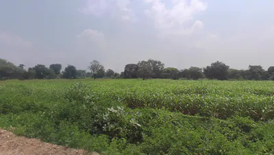 VPGQ+588, Karoli Ki Dhani, Rajasthan 313301, India preview 2