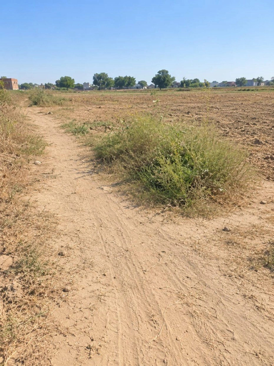 Dhana Khema, Mathura, Uttar Pradesh 281122, India