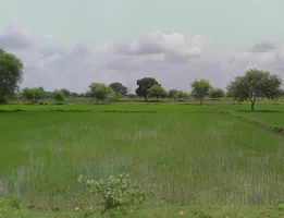 Kathiya-2, Chhattisgarh 493661, India preview 2