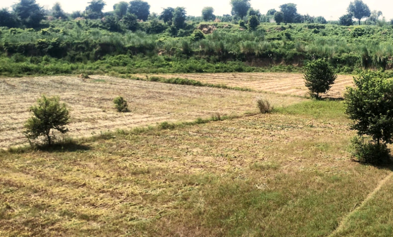 Dittupur, Punjab, India