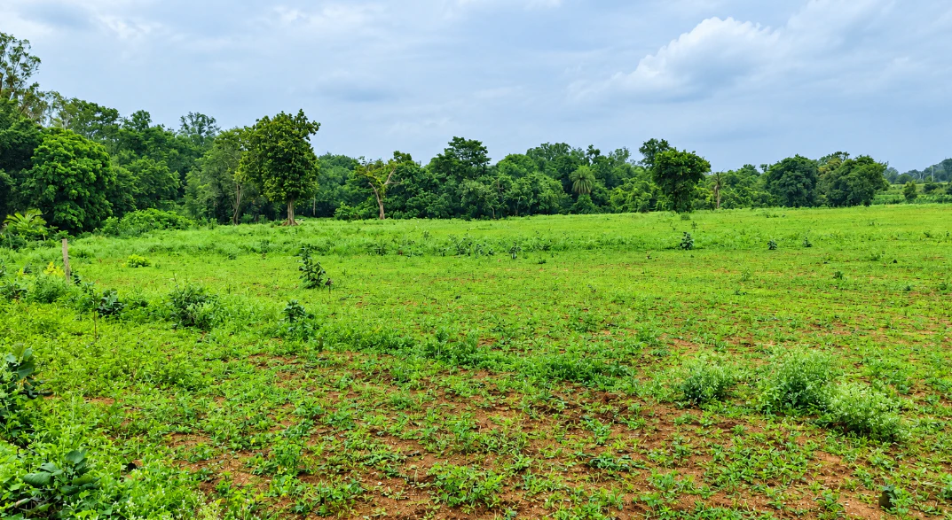 Beltikiri, Dhenkanal, Odisha, India