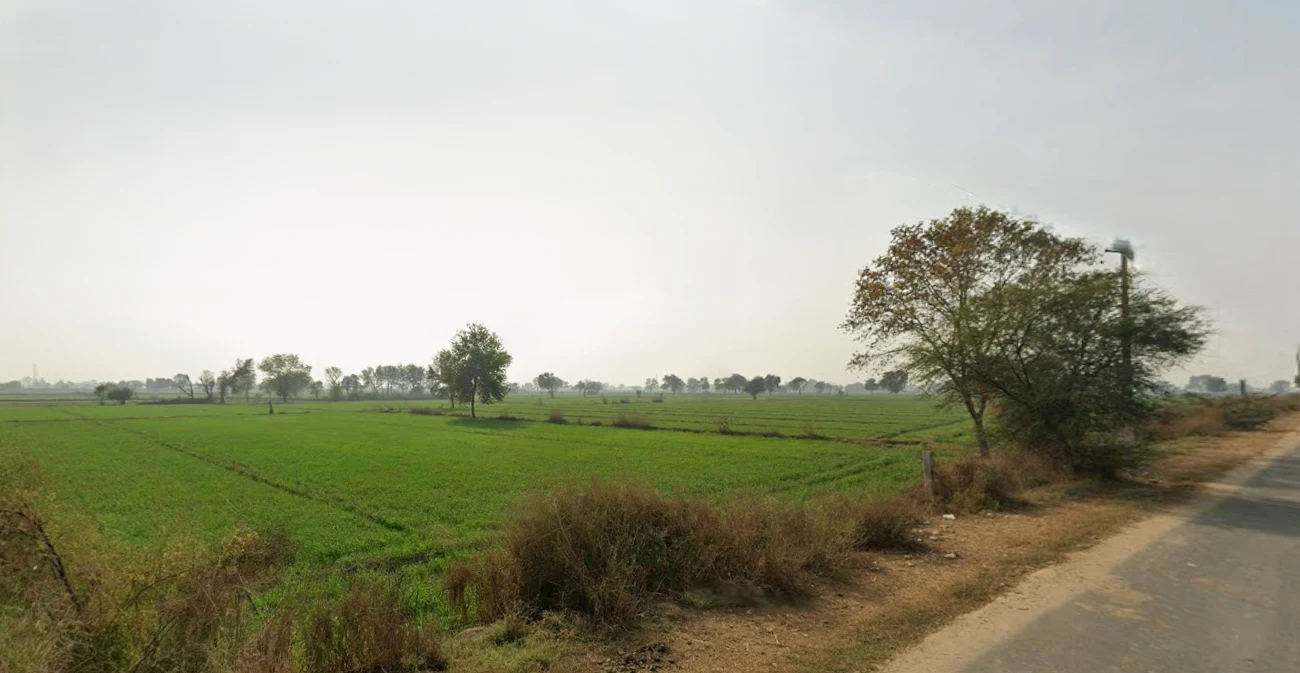 Kaimri, Haryana 125005, India