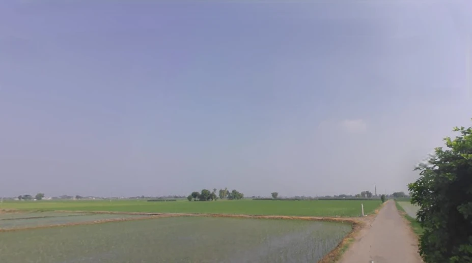 Dakha, Punjab 141102, India