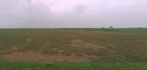 Mahu, Madhya Pradesh 456443, India preview 3