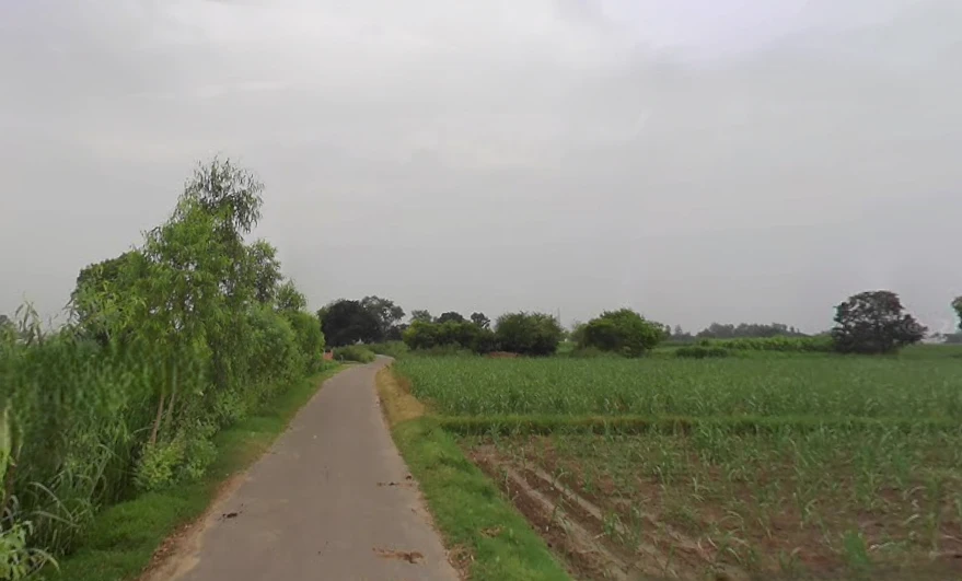 Muzaffarnagar, Uttar Pradesh, India