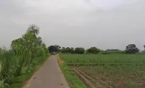 Muzaffarnagar, Uttar Pradesh, India preview 2