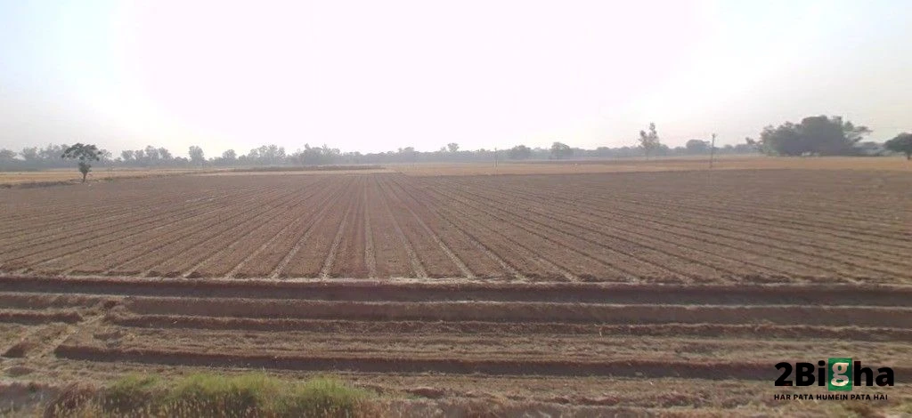 Khagaul, Patna, Bihar, India