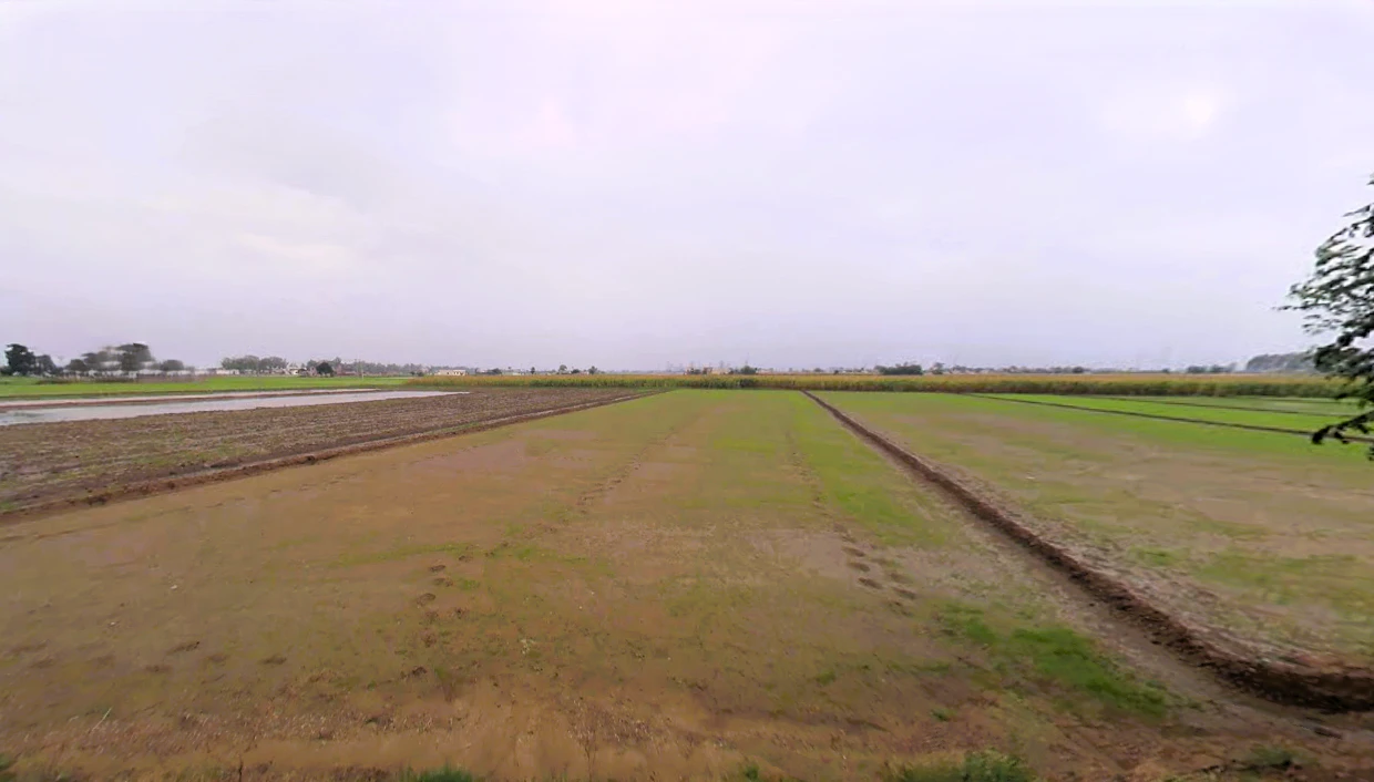 Dhurala, Haryana 136119, India