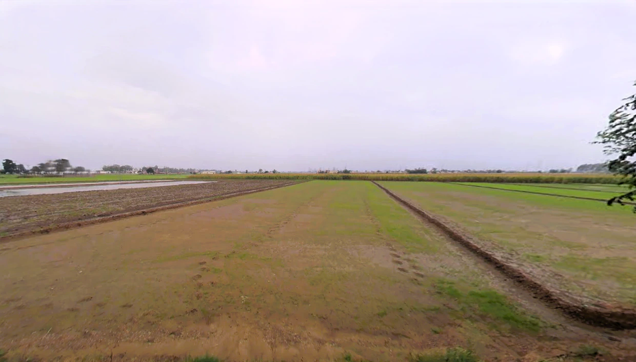 Dhurala, Haryana 136119, India