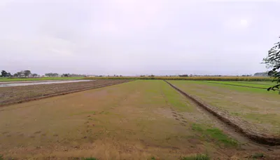 Dhurala, Haryana 136119, India preview 3