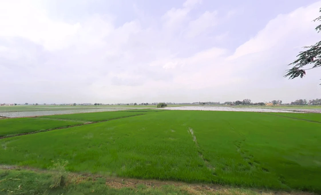 Dhurala, Haryana 136119, India