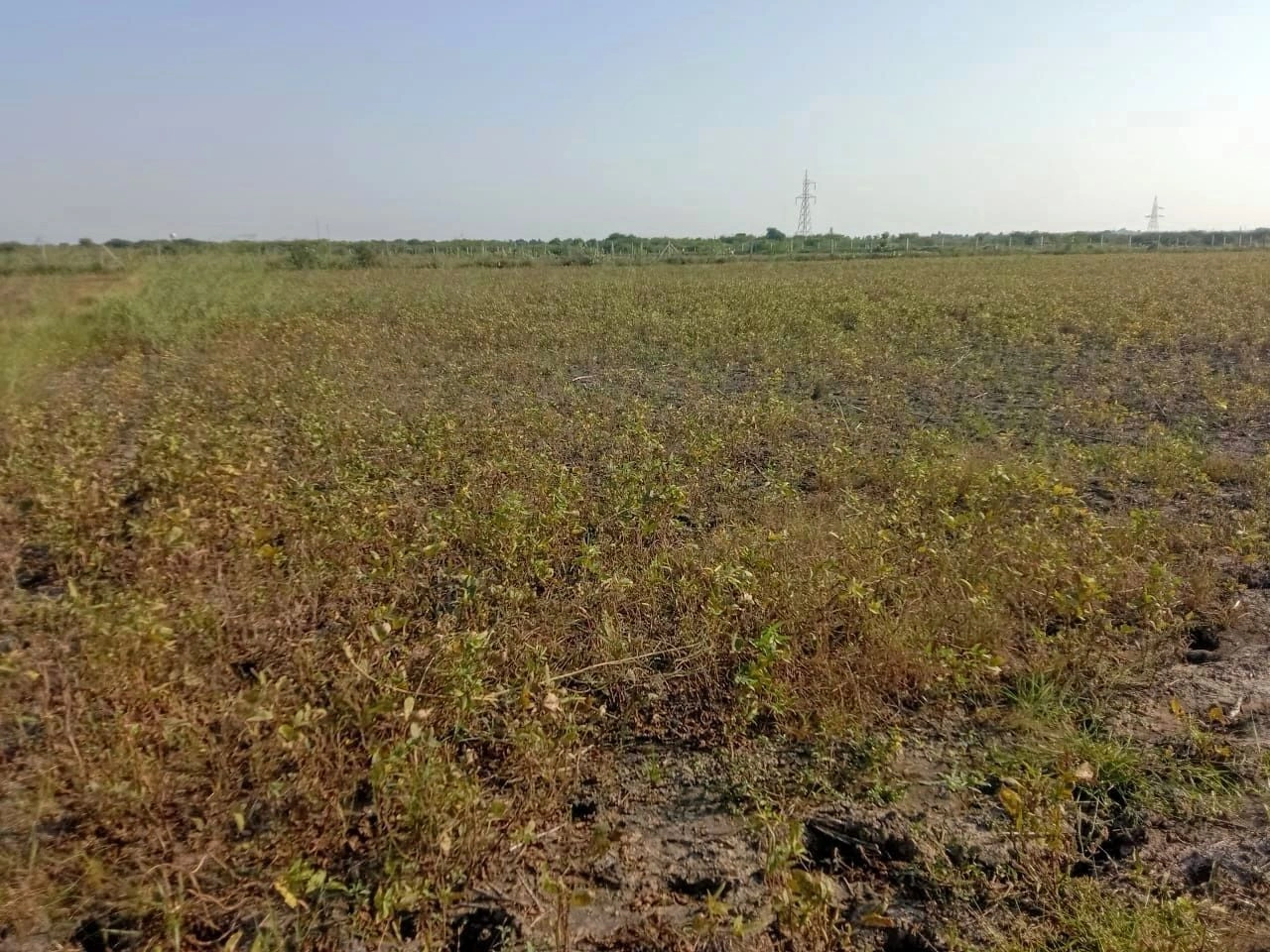 Barodameo, Rajasthan 301021, India