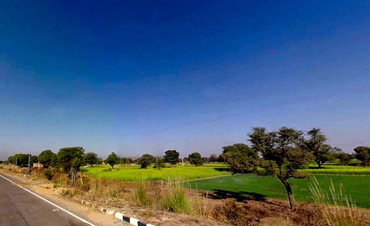 Shahpura, Rajasthan 303103, India