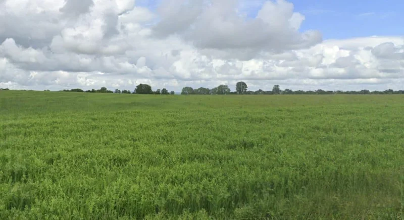 Sitamau, Madhya Pradesh 458990, India preview 2