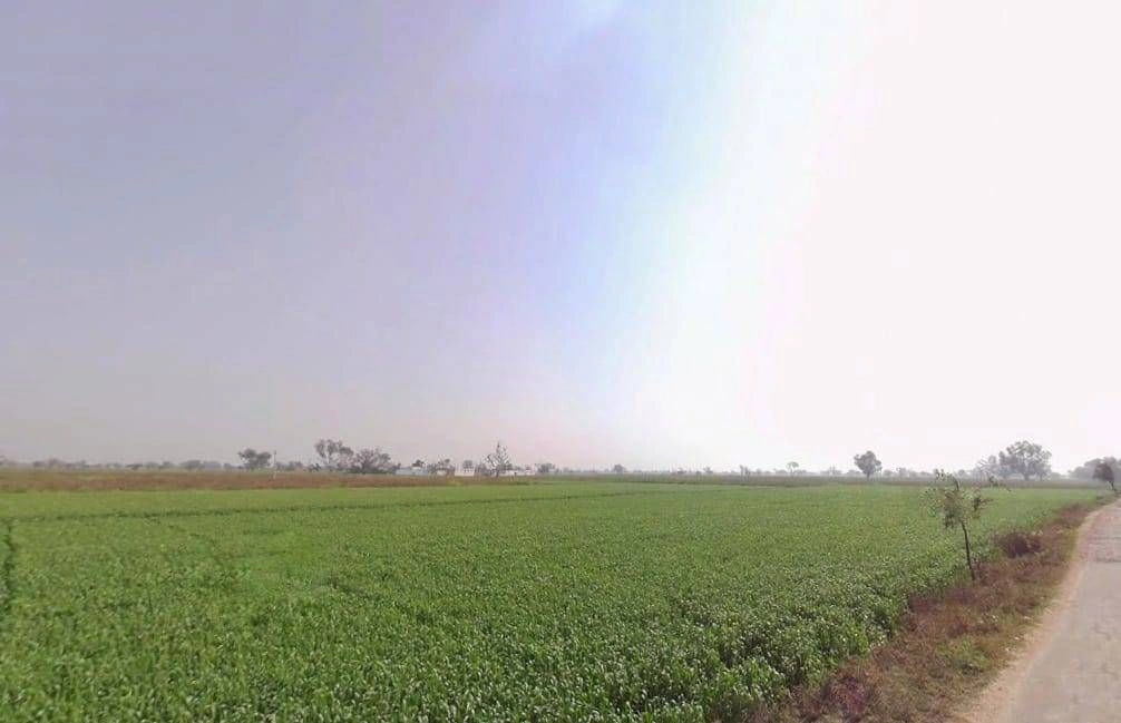 Moliya, Rajasthan 301021, India