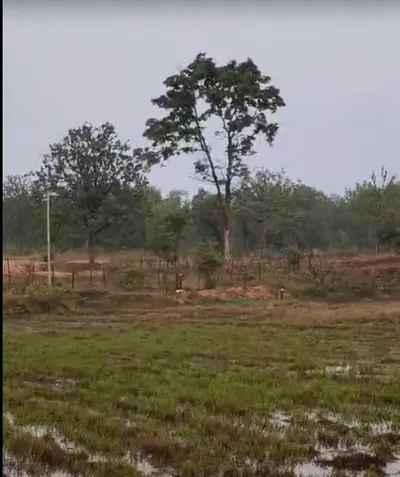 9GC3+F3V, Bhopal, Dob, Madhya Pradesh 462010, India preview 2