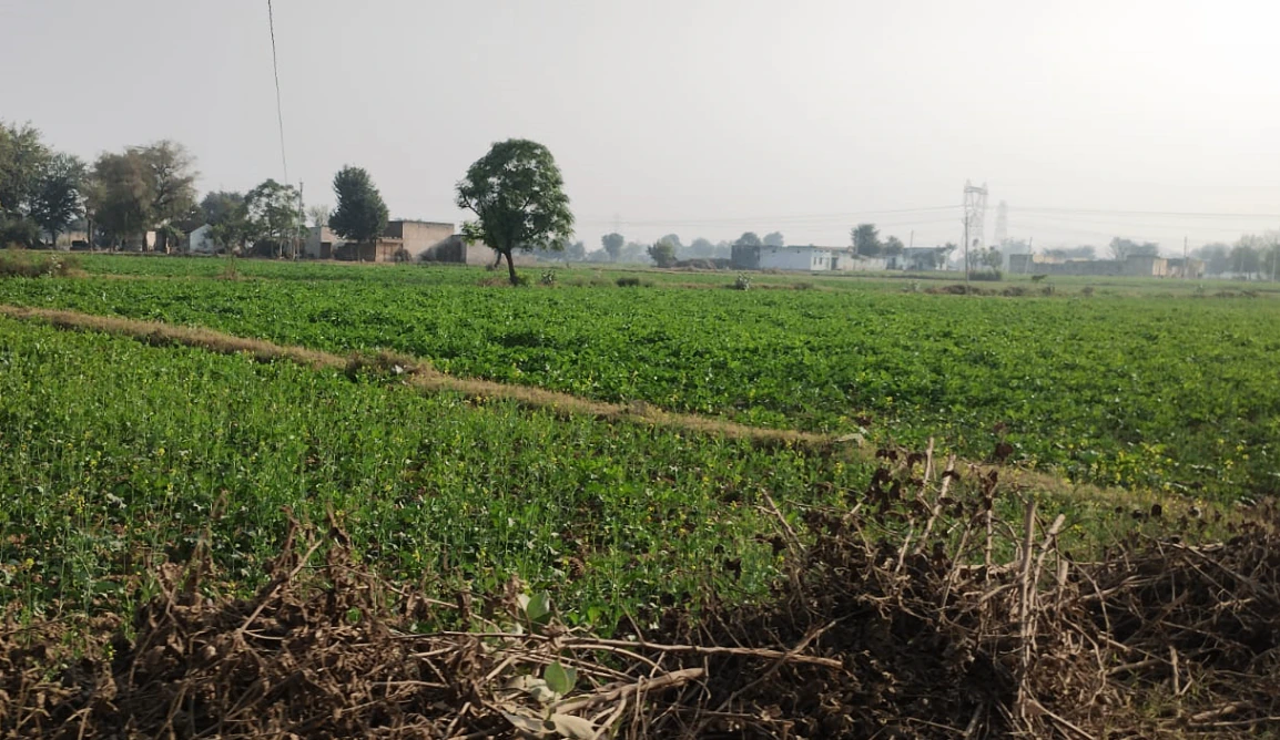 Kanora, Raisen, Madhya Pradesh 464551, India