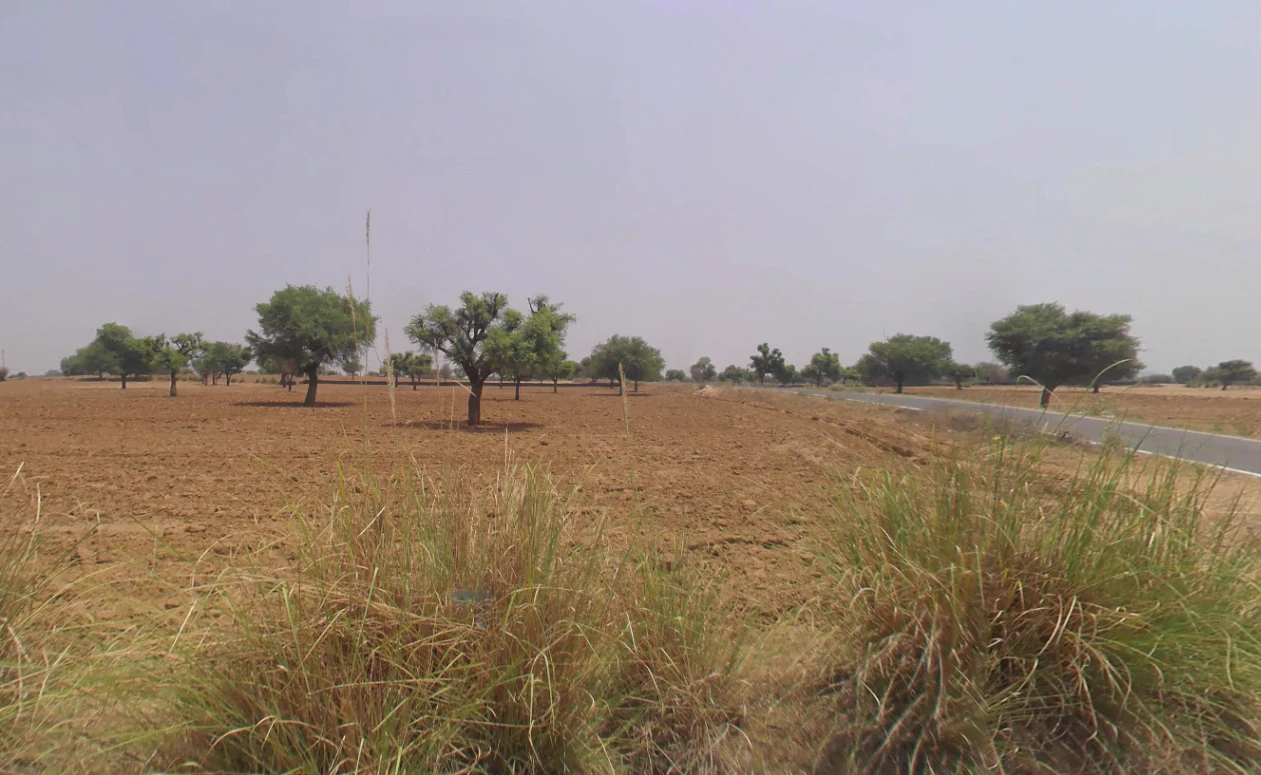 Morni Hills, Haryana, India