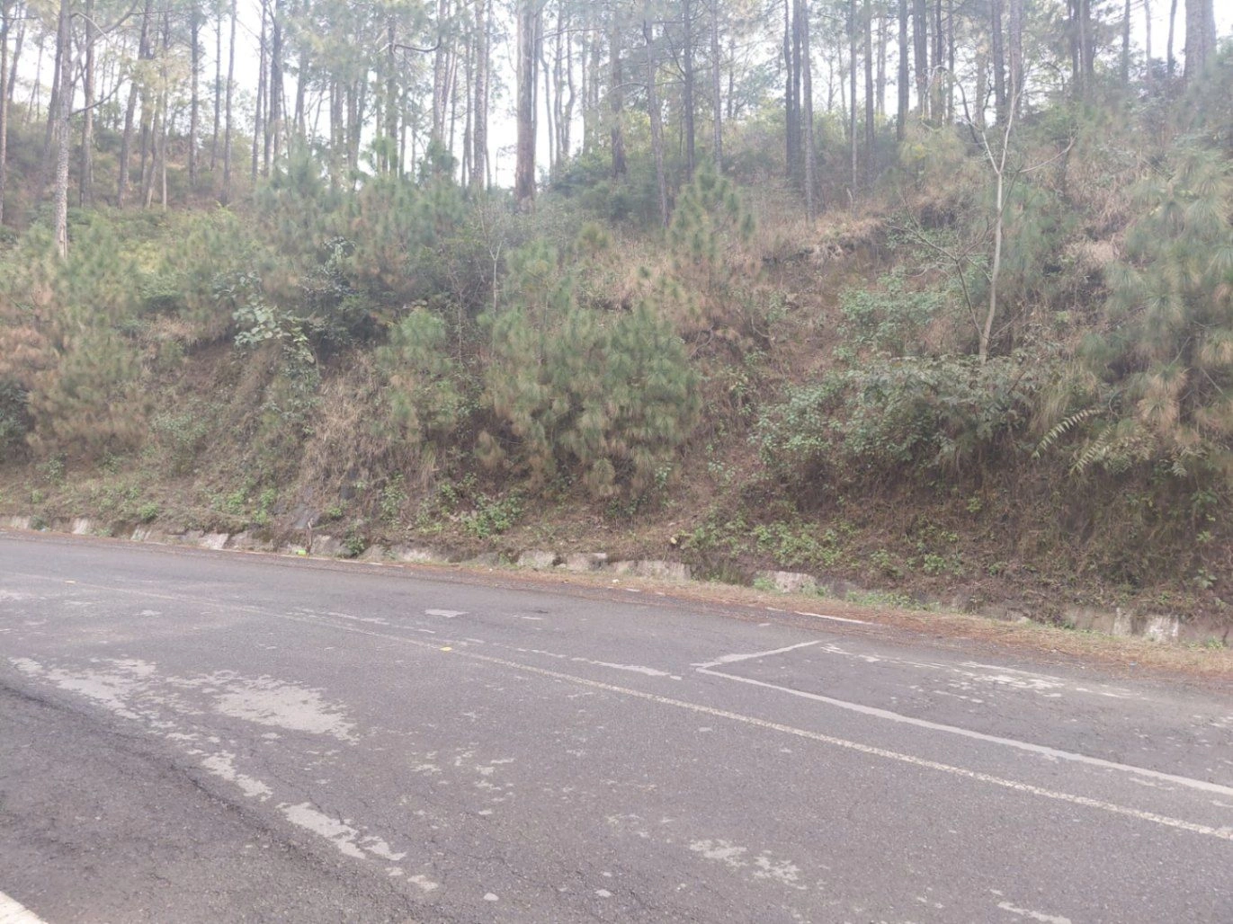 Morni Hills, Haryana, India