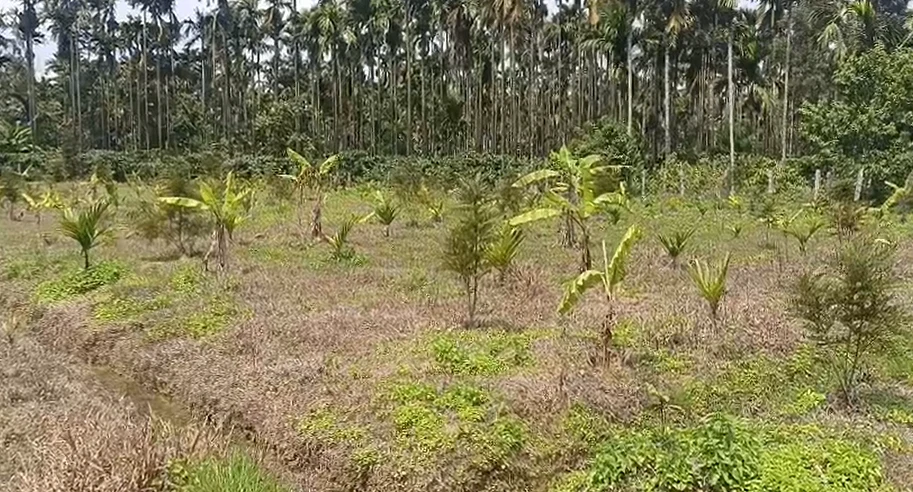 Sardhana, Meerut, Uttar Pradesh 250342, India