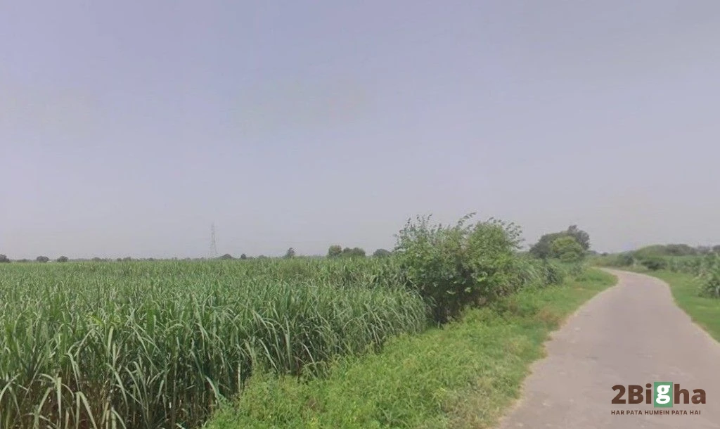 Pithlokar, Uttar Pradesh 250342, India