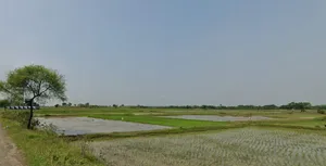 Chhatna, West Bengal 722132, India preview 2