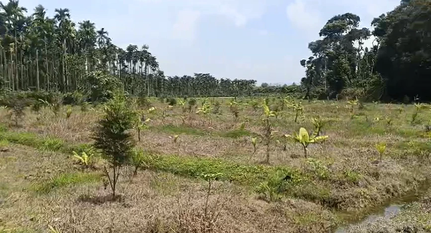 Barkheda, Vidisha, Madhya Pradesh 464001, India