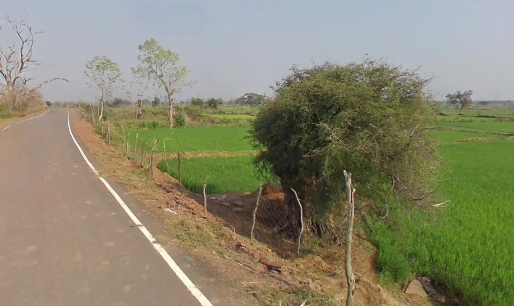 Jamgaon, Chhattisgarh 493661, India