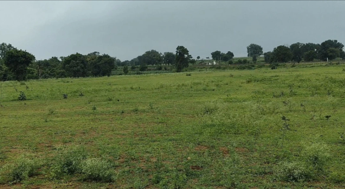 Q86W+F9P, Narmadapuram, Pipariya, Madhya Pradesh 461775, India